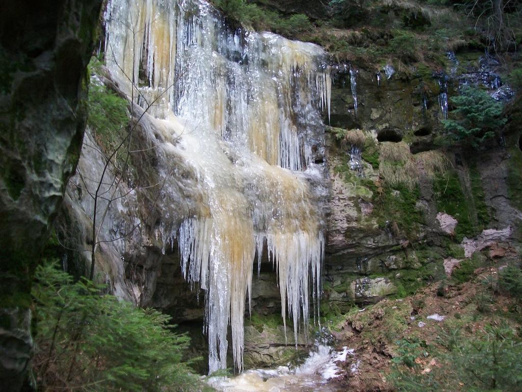 Ferienwohnung Zum Lilienstein Bad Schandau Zewnętrze zdjęcie