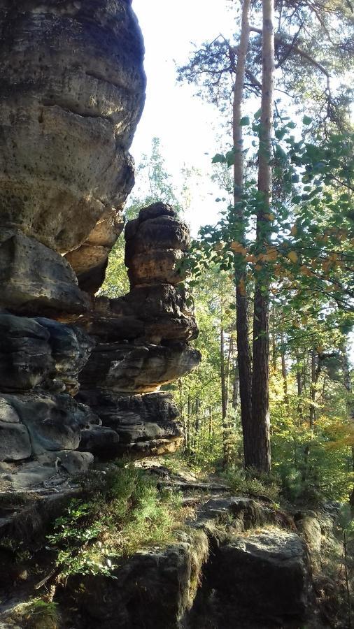Ferienwohnung Zum Lilienstein Bad Schandau Zewnętrze zdjęcie